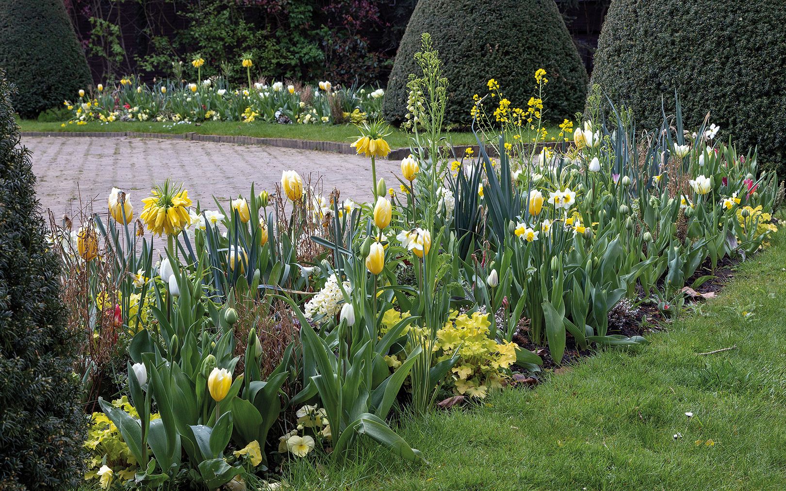 Blumenzwiebeln mit Stauden JUB Holland